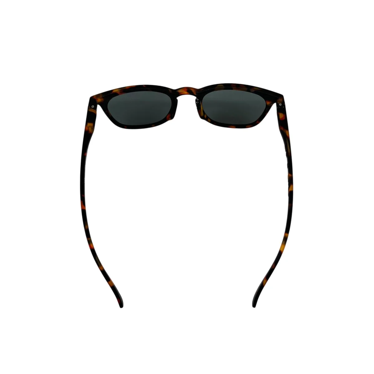 サングラスLMSS#E CO2 EGC - Image 4