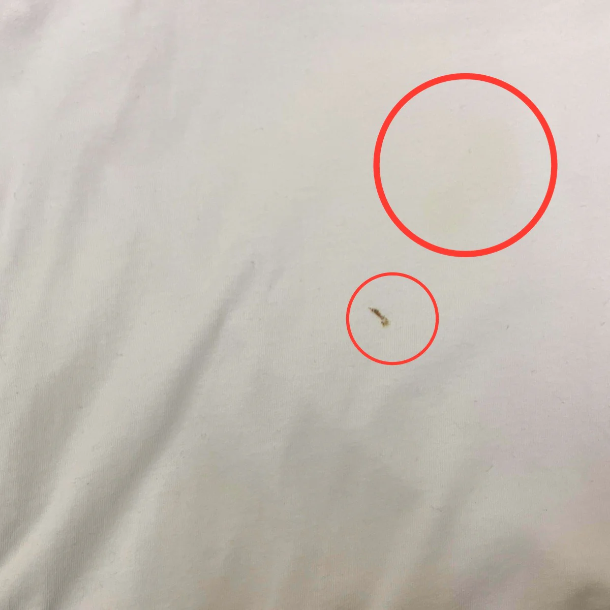Small Box Logo Tee半袖Tシャツ - Image 5