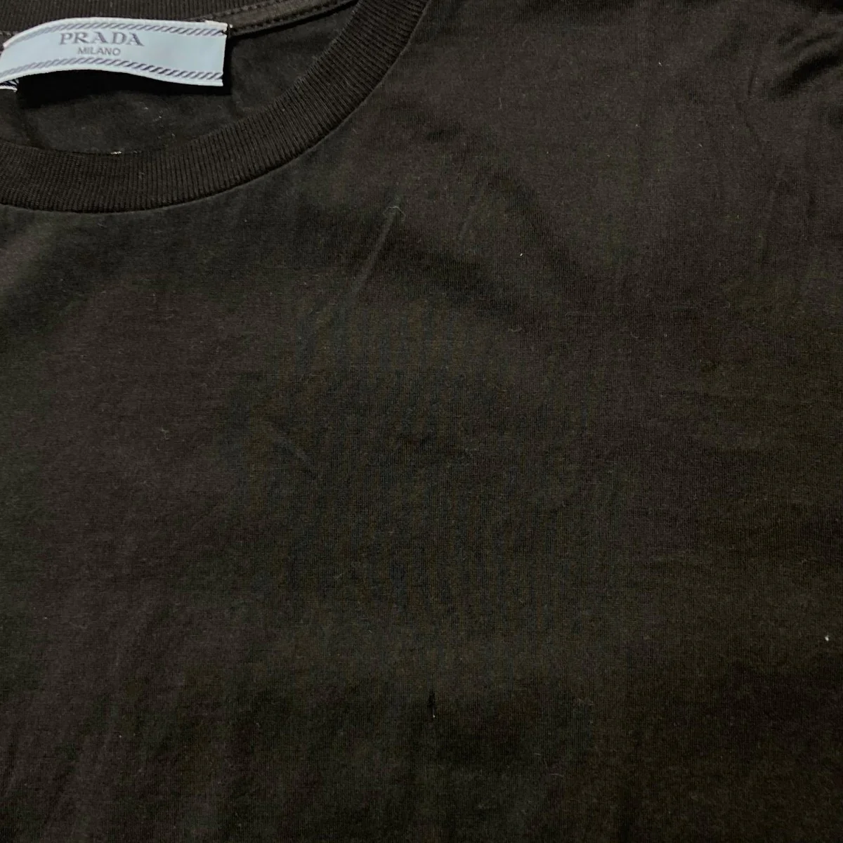 コットンＴシャツDNA976 S221 11G0 - Image 6