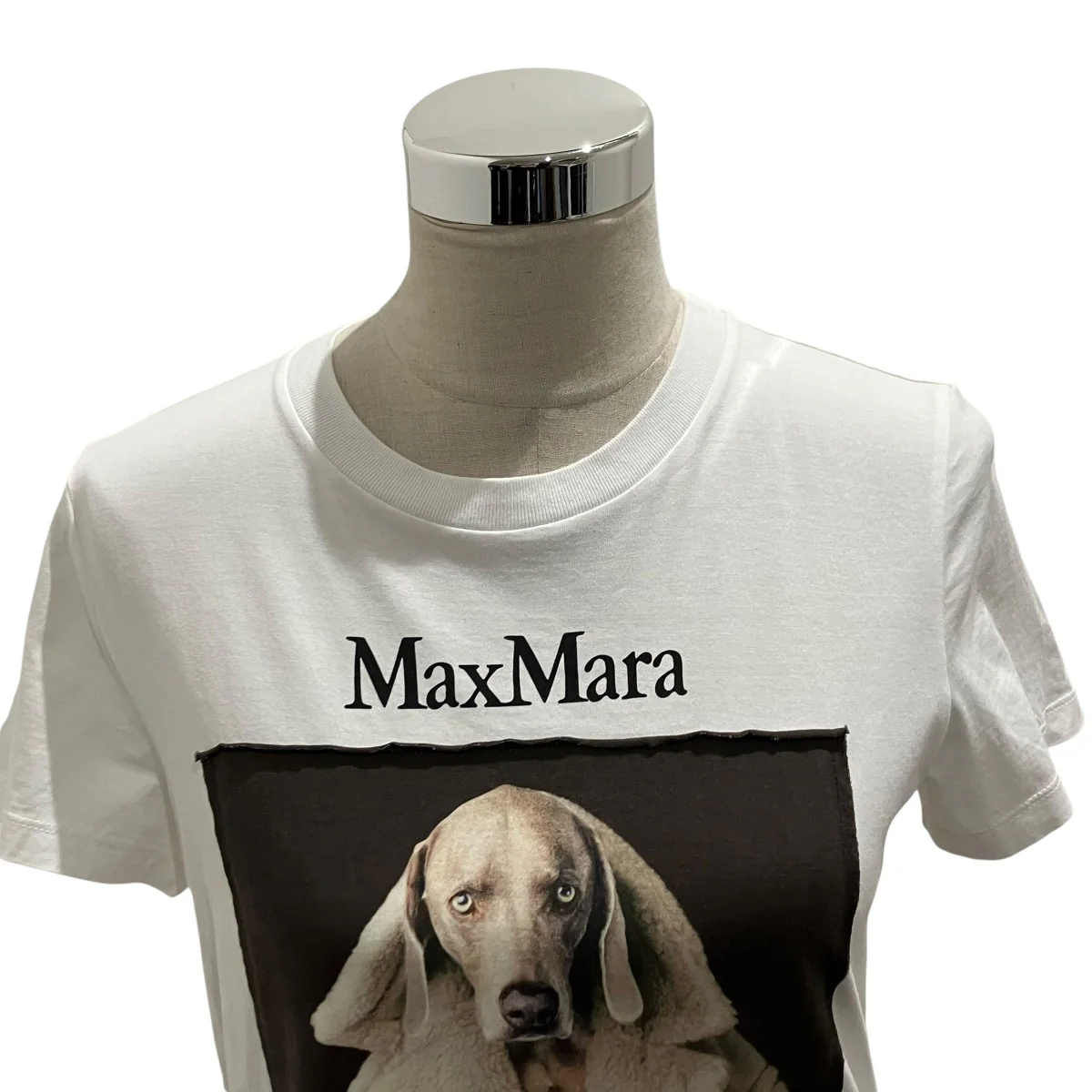 ウェグマンプリントTシャツ2319460339 - Image 3