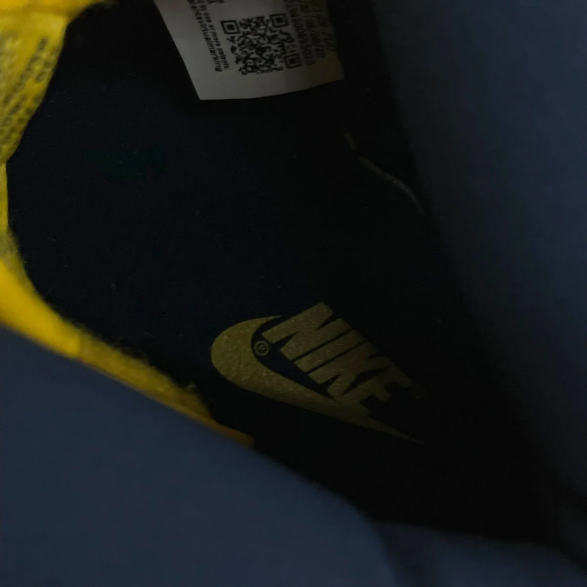 Dunk High MichiganハイカットスニーカーCZ8149-700 - Image 6