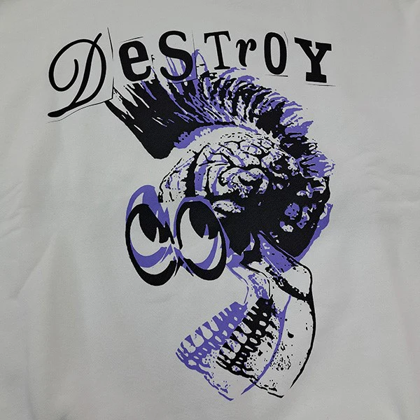 24AWDESTROY PUNK SKULL SWEATデストロイパンクスカルスウェットKL876 - Image 4