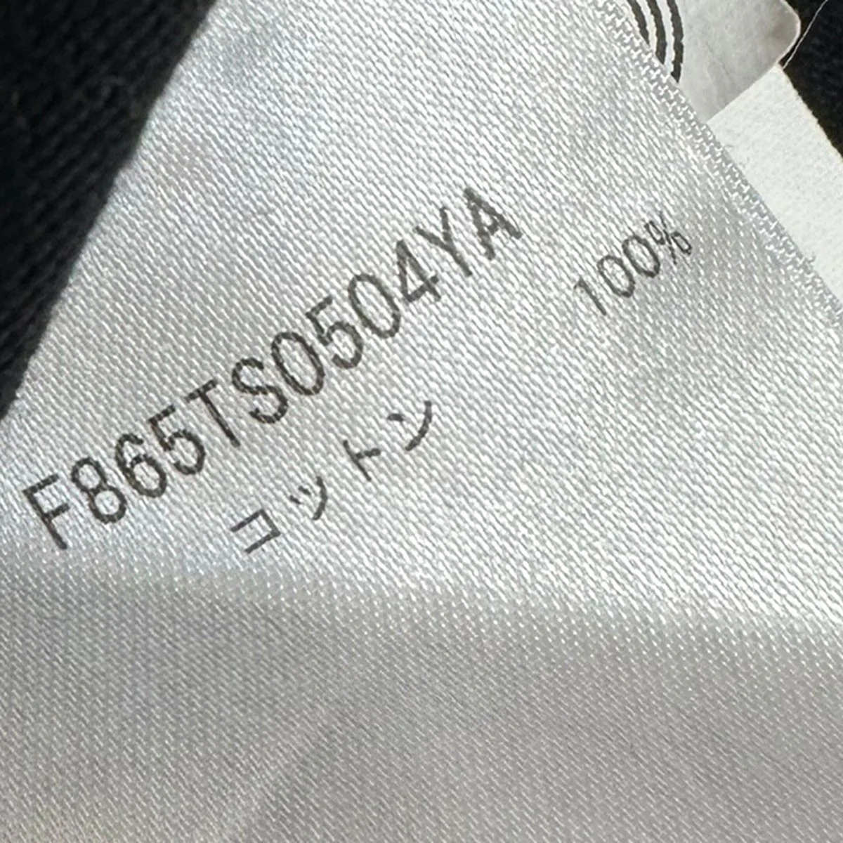 TIGER T-SHIRTタイガープリントTシャツF865TS0504YA - Image 7