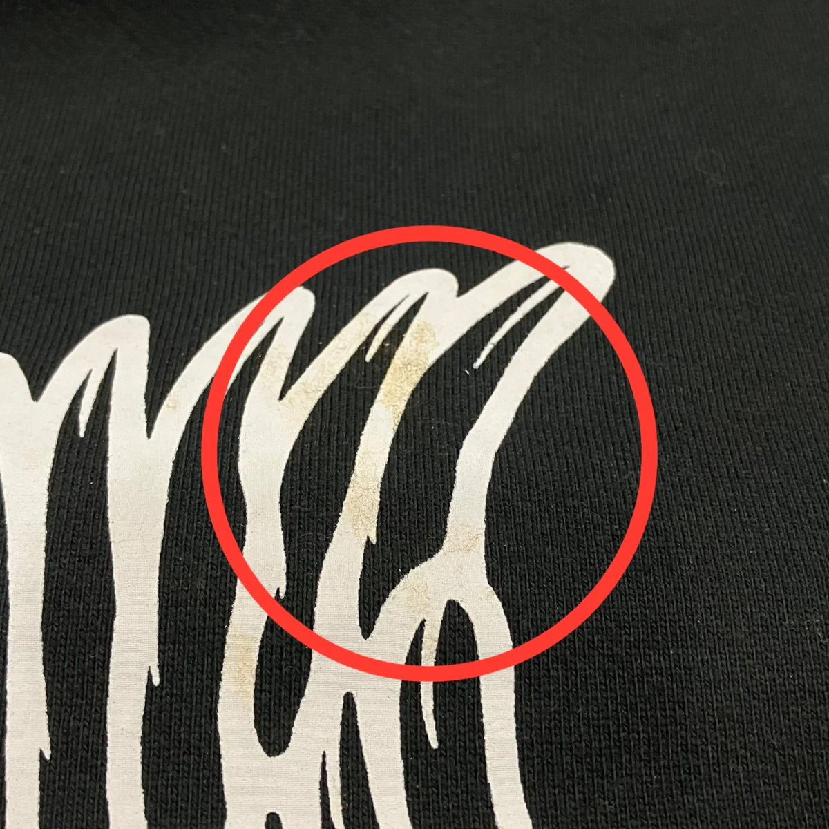 SWEAT CREW EAGLE Mイーグルプリントスウェット - Image 6
