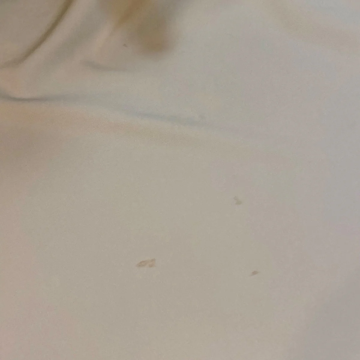 半袖ワンピース14112-5052 - Image 7