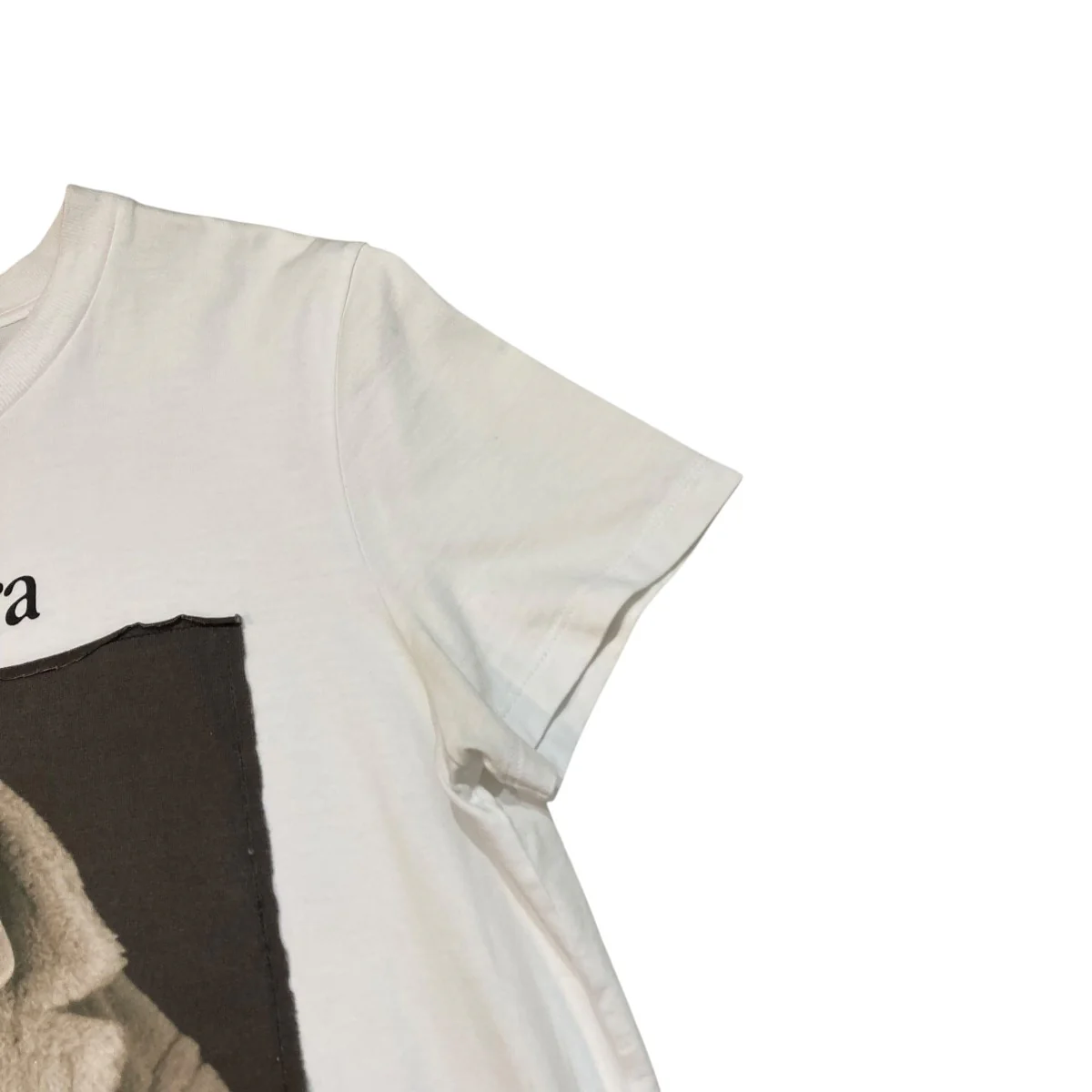 ドック柄プリントTシャツ2319460339 - Image 4