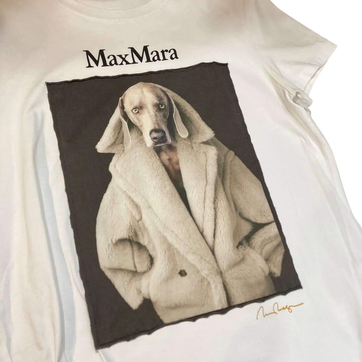 ドック柄プリントTシャツ2319460339 - Image 5